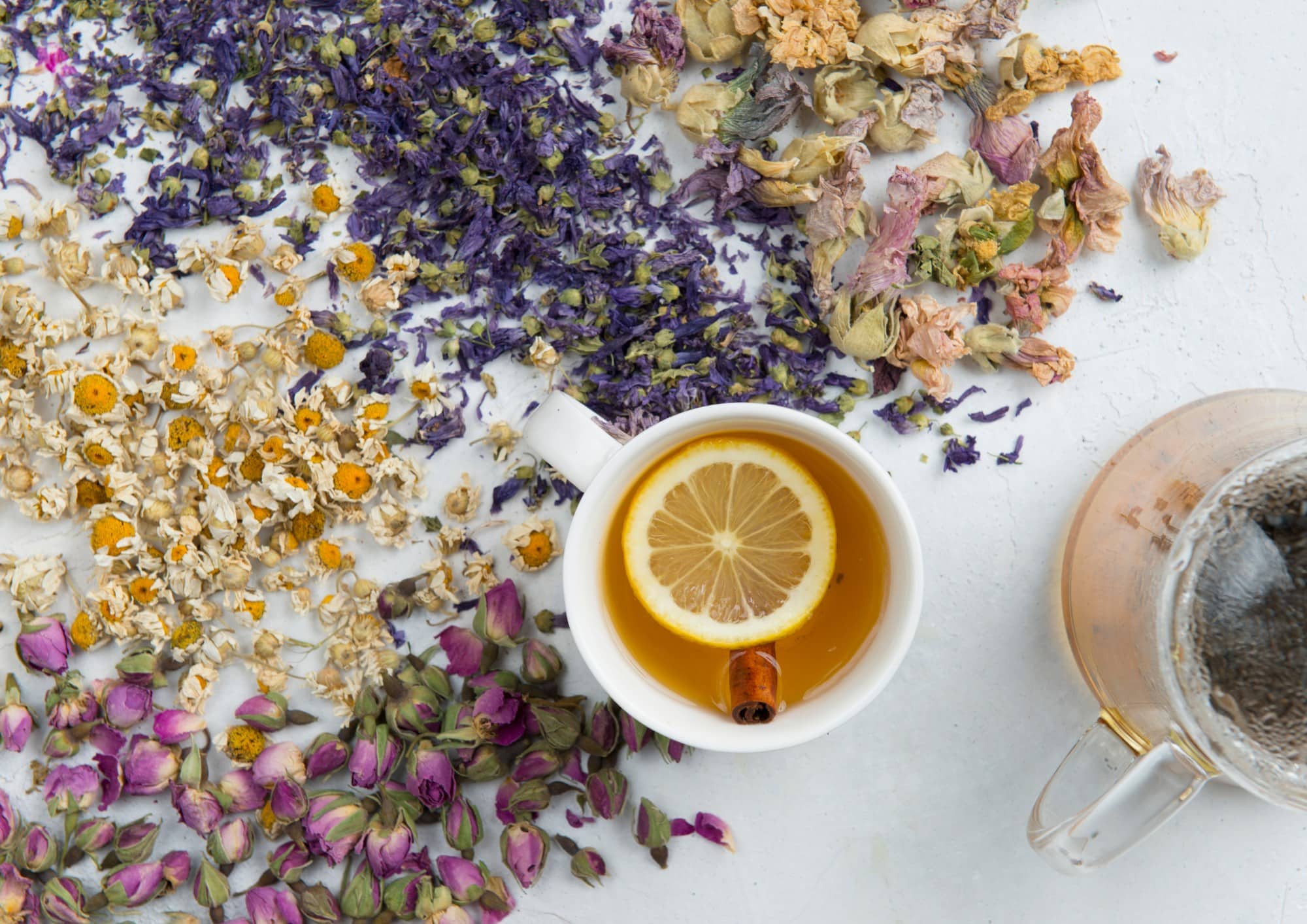 Herbalism Part One