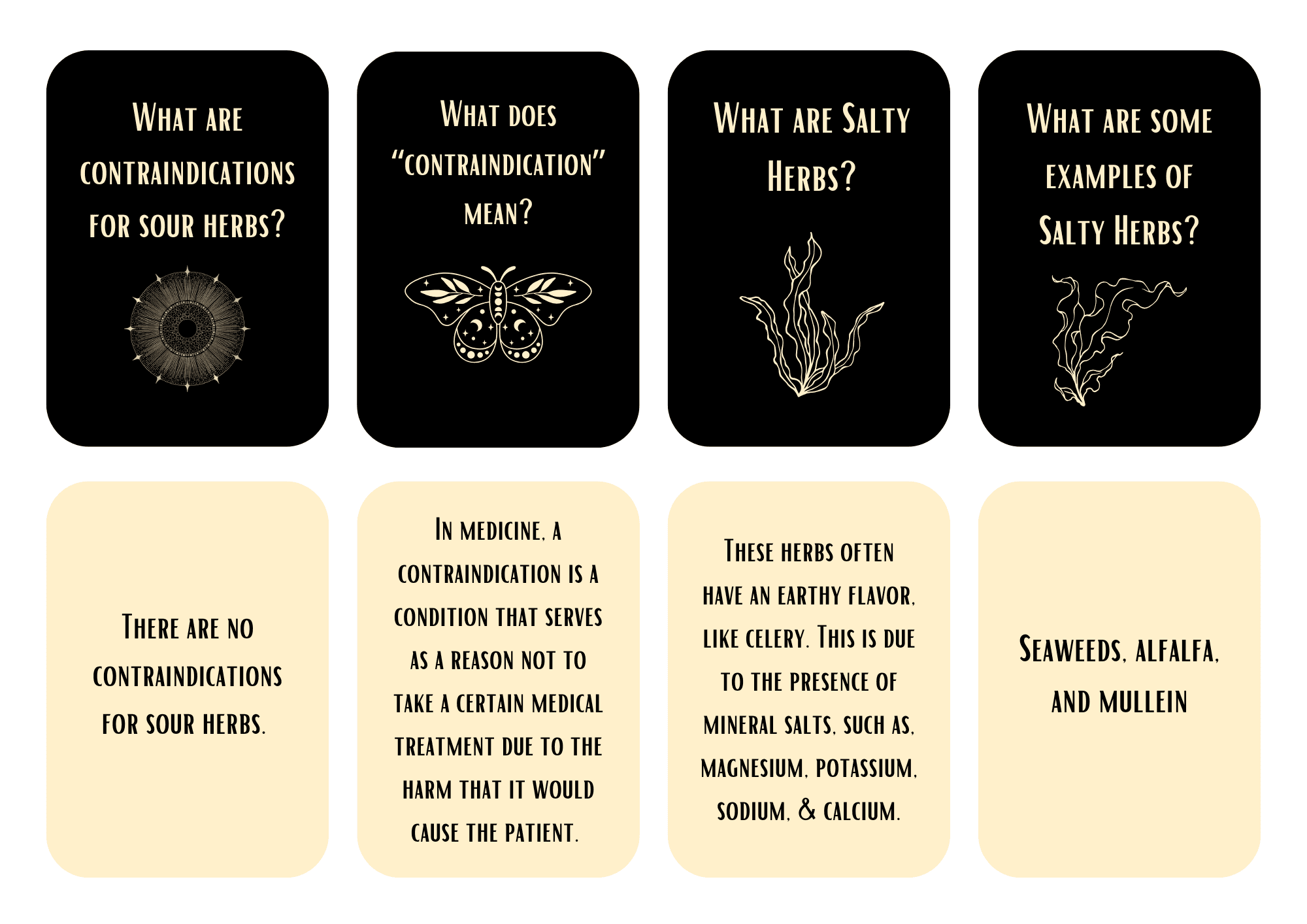 Herbalism Part Two