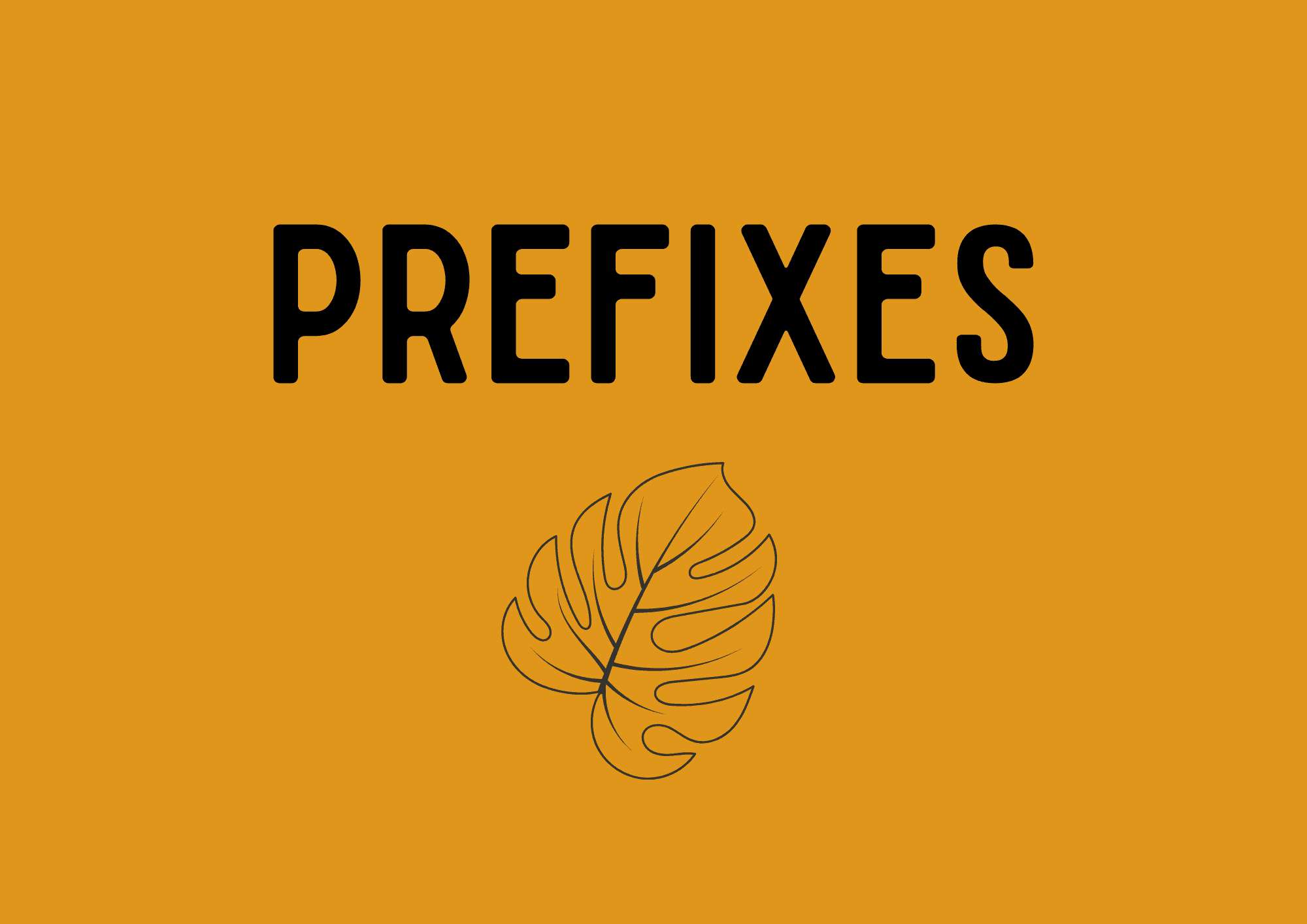 Prefixes Lesson