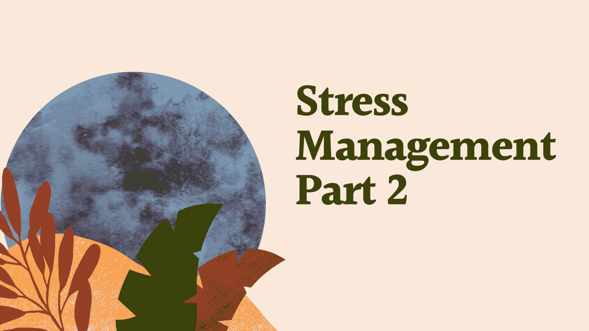 Stress Management Part Two