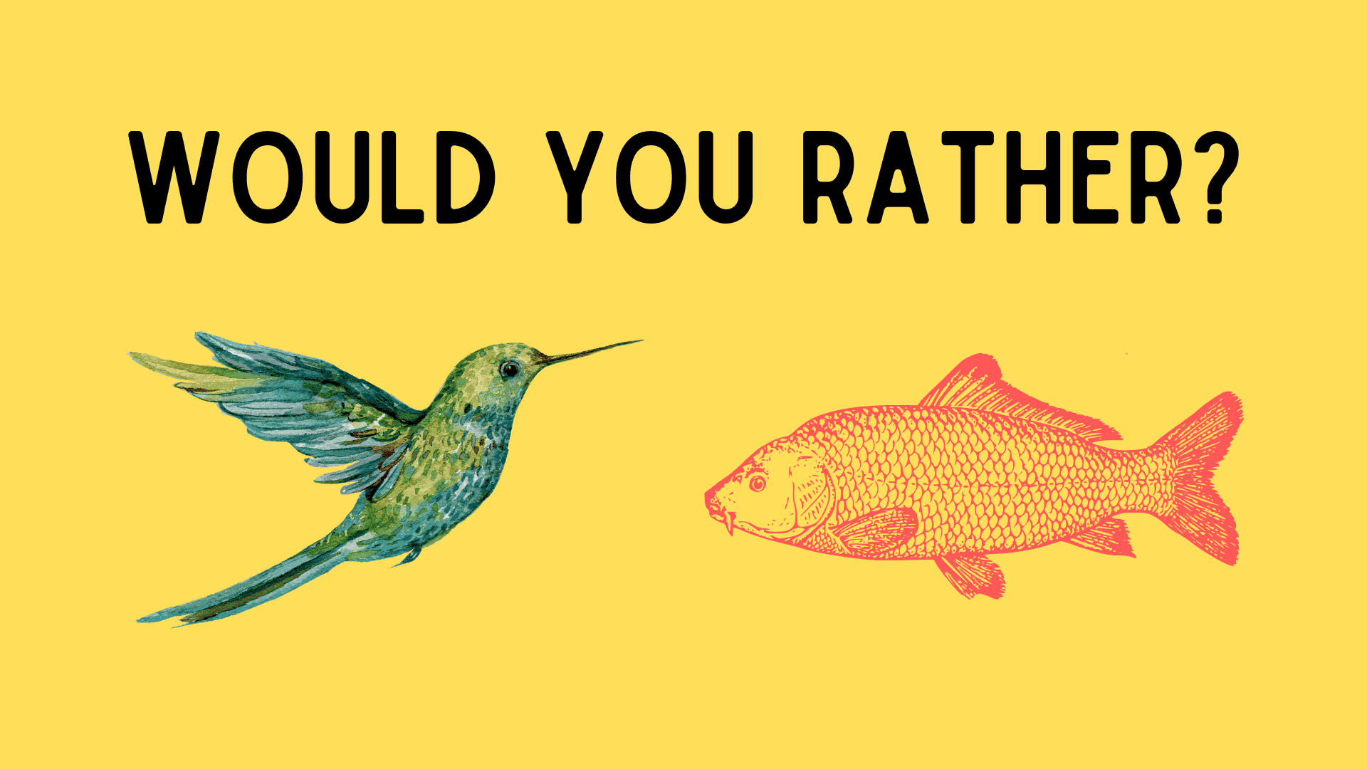 Would You Rather - Kindergarten